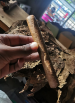 Capota Nicaragüense